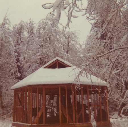 cabin