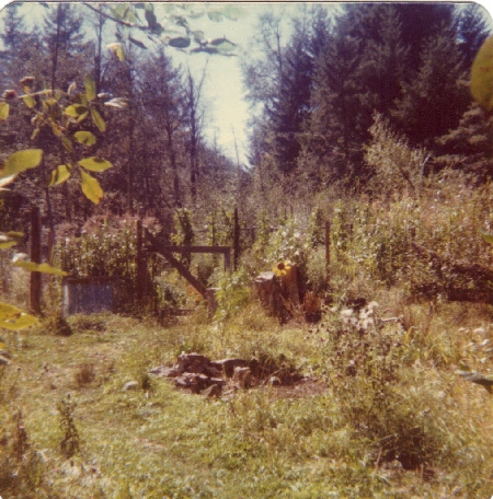 cabin