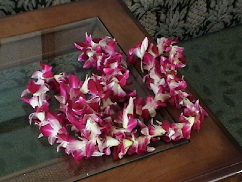hawaii