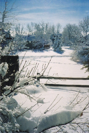 Snow